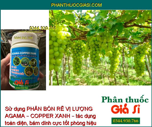 PHÂN BÓN RỄ VỊ LƯỢNG AGAMA – COPPER XANH – Tốt Cây - Sạch Bệnh - Tăng Năng Suất