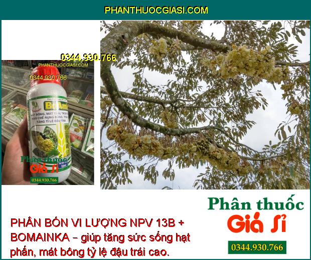 PHÂN BÓN VI LƯỢNG NPV 13B + BOMAINKA – Tăng Đậu Trái - Ngăn Ngừa Nứt Trái - Thối Trái