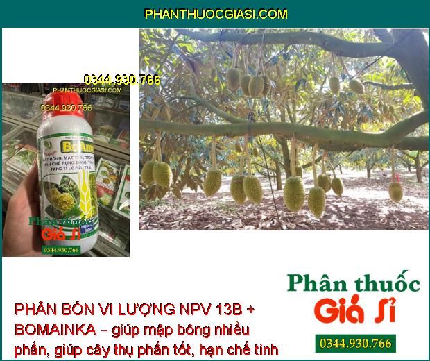 PHÂN BÓN VI LƯỢNG NPV 13B + BOMAINKA – Tăng Đậu Trái - Ngăn Ngừa Nứt Trái - Thối Trái