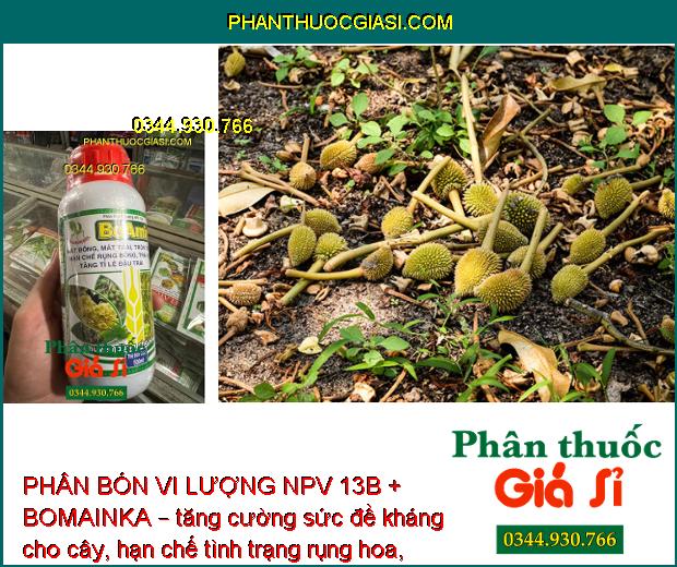 PHÂN BÓN VI LƯỢNG NPV 13B + BOMAINKA – Tăng Đậu Trái - Ngăn Ngừa Nứt Trái - Thối Trái