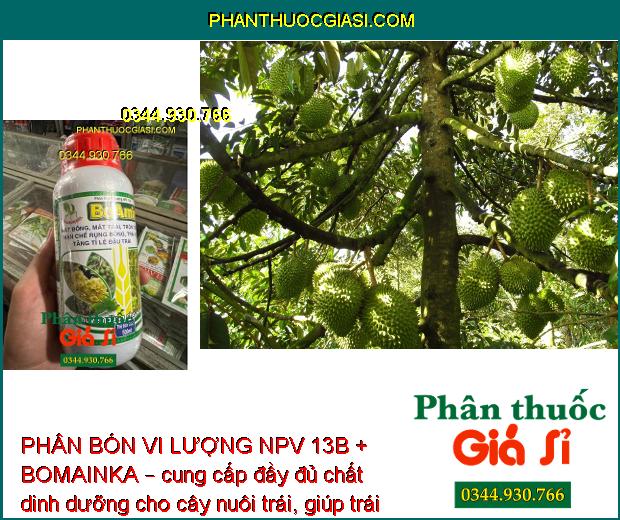 PHÂN BÓN VI LƯỢNG NPV 13B + BOMAINKA – Tăng Đậu Trái - Ngăn Ngừa Nứt Trái - Thối Trái