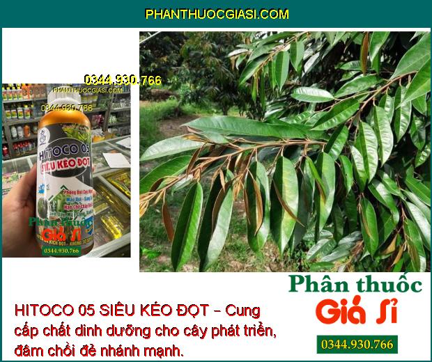 HITOCO 05 SIÊU KÉO ĐỌT – Giúp Phóng Đọt Cực Nhanh - Xanh Dây - Mập Cọng