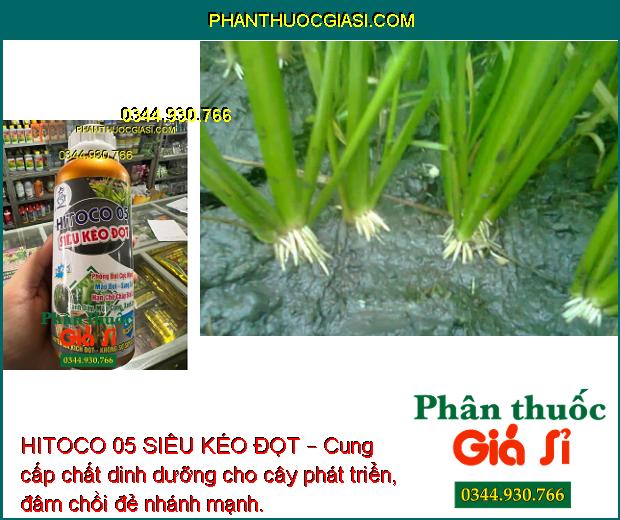 HITOCO 05 SIÊU KÉO ĐỌT – Giúp Phóng Đọt Cực Nhanh - Xanh Dây - Mập Cọng