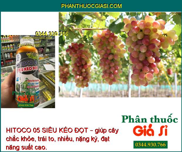 HITOCO 05 SIÊU KÉO ĐỌT – Giúp Phóng Đọt Cực Nhanh - Xanh Dây - Mập Cọng