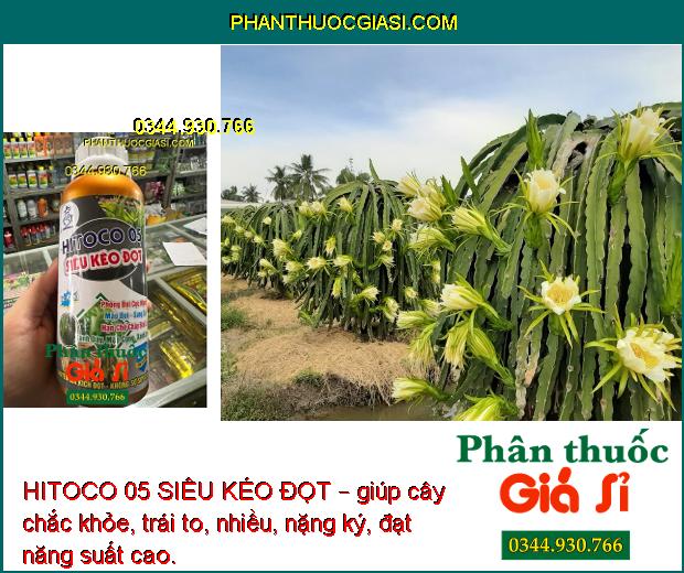 HITOCO 05 SIÊU KÉO ĐỌT – Giúp Phóng Đọt Cực Nhanh - Xanh Dây - Mập Cọng