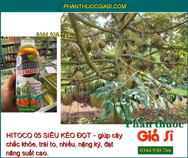 HITOCO 05 SIÊU KÉO ĐỌT – Giúp Phóng Đọt Cực Nhanh - Xanh Dây - Mập Cọng