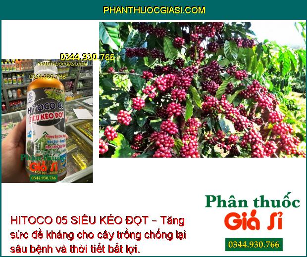 HITOCO 05 SIÊU KÉO ĐỌT – Giúp Phóng Đọt Cực Nhanh - Xanh Dây - Mập Cọng