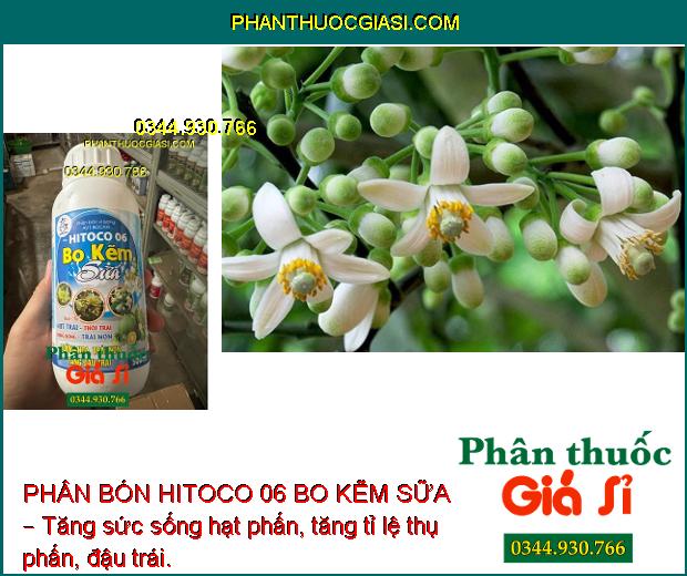 Sử dụng PHÂN BÓN HITOCO 06 BO KẼM SỮA – Tăng sức sống hạt phấn, tăng tỉ lệ thụ phấn, đậu trái.