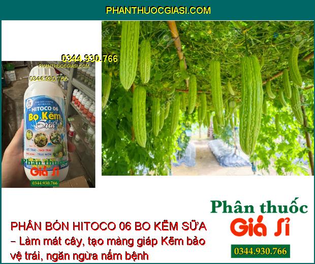 Sử dụng PHÂN BÓN HITOCO 06 BO KẼM SỮA – Tăng sức sống hạt phấn, tăng tỉ lệ thụ phấn, đậu trái.