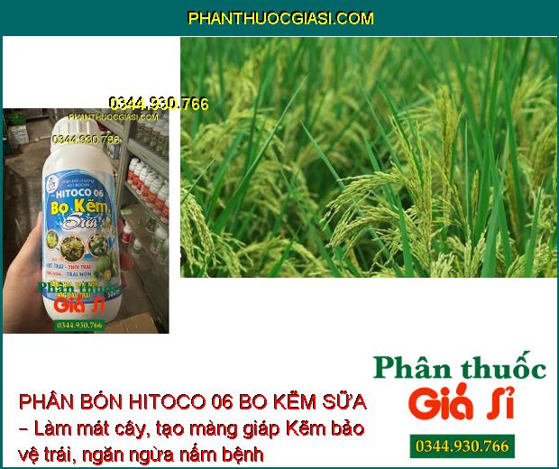 Sử dụng PHÂN BÓN HITOCO 06 BO KẼM SỮA – Tăng sức sống hạt phấn, tăng tỉ lệ thụ phấn, đậu trái.