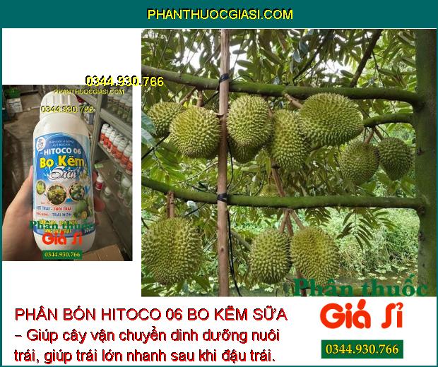 Sử dụng PHÂN BÓN HITOCO 06 BO KẼM SỮA – Tăng sức sống hạt phấn, tăng tỉ lệ thụ phấn, đậu trái.