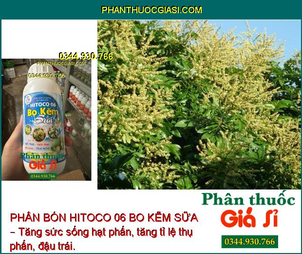 Sử dụng PHÂN BÓN HITOCO 06 BO KẼM SỮA – Tăng sức sống hạt phấn, tăng tỉ lệ thụ phấn, đậu trái.