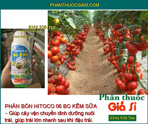 Sử dụng PHÂN BÓN HITOCO 06 BO KẼM SỮA – Tăng sức sống hạt phấn, tăng tỉ lệ thụ phấn, đậu trái.