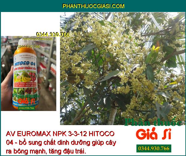 AV EUROMAX NPK 3-3-12 HITOCO 04 - Kích Trái Lớn Nhanh - Chắc Ruột - Nặng Ký - Trái Bóng Đẹp