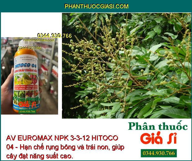 AV EUROMAX NPK 3-3-12 HITOCO 04 - Kích Trái Lớn Nhanh - Chắc Ruột - Nặng Ký - Trái Bóng Đẹp