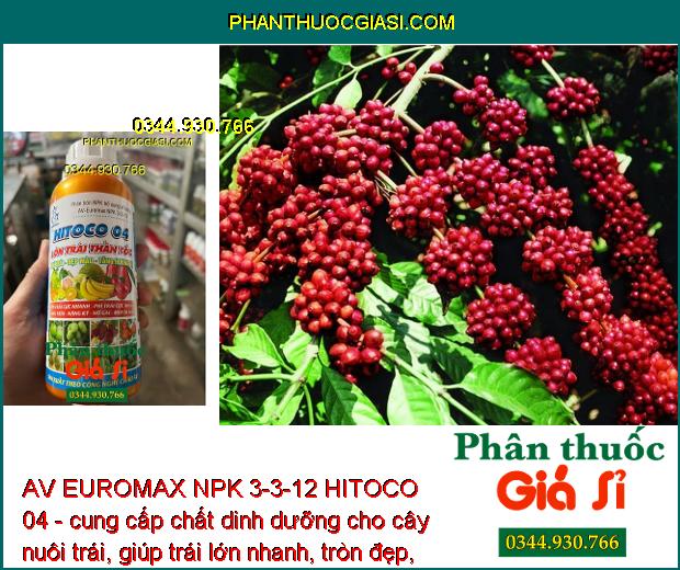 AV EUROMAX NPK 3-3-12 HITOCO 04 - Kích Trái Lớn Nhanh - Chắc Ruột - Nặng Ký - Trái Bóng Đẹp