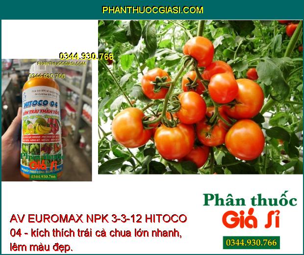 AV EUROMAX NPK 3-3-12 HITOCO 04 - Kích Trái Lớn Nhanh - Chắc Ruột - Nặng Ký - Trái Bóng Đẹp