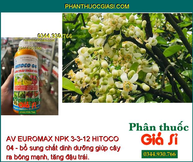 AV EUROMAX NPK 3-3-12 HITOCO 04 - Kích Trái Lớn Nhanh - Chắc Ruột - Nặng Ký - Trái Bóng Đẹp