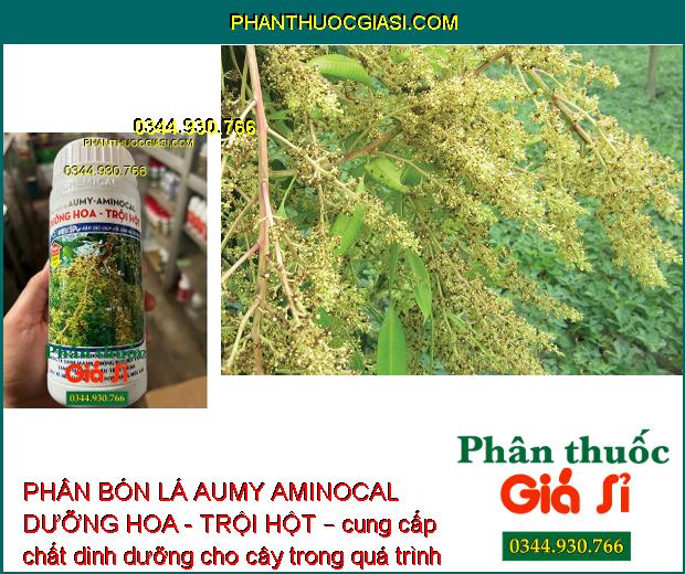 PHÂN BÓN LÁ AUMY AMINOCAL DƯỠNG HOA - TRỘI HỘT – Dưỡng Hoa - Dưỡng Trái 