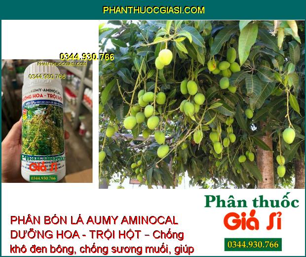 PHÂN BÓN LÁ AUMY AMINOCAL DƯỠNG HOA - TRỘI HỘT – Dưỡng Hoa - Dưỡng Trái 