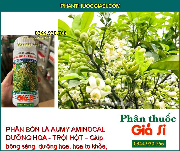 PHÂN BÓN LÁ AUMY AMINOCAL DƯỠNG HOA - TRỘI HỘT – Dưỡng Hoa - Dưỡng Trái 