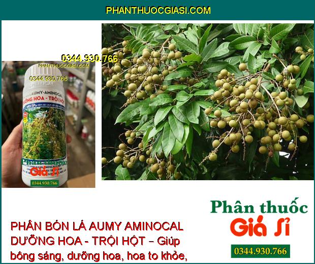 PHÂN BÓN LÁ AUMY AMINOCAL DƯỠNG HOA - TRỘI HỘT – Dưỡng Hoa - Dưỡng Trái 