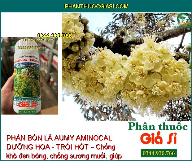 PHÂN BÓN LÁ AUMY AMINOCAL DƯỠNG HOA - TRỘI HỘT – Dưỡng Hoa - Dưỡng Trái 