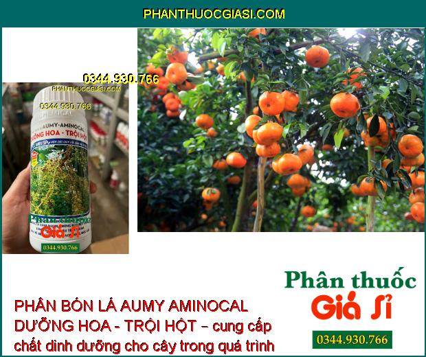 PHÂN BÓN LÁ AUMY AMINOCAL DƯỠNG HOA - TRỘI HỘT – Dưỡng Hoa - Dưỡng Trái 