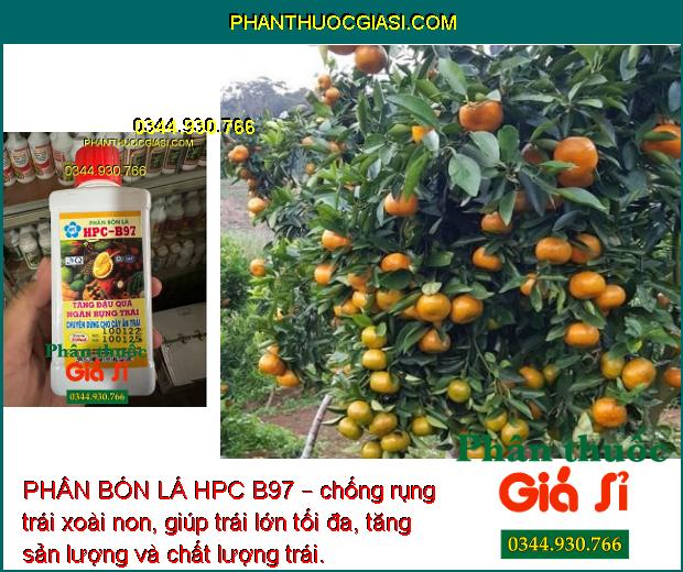 PHÂN BÓN LÁ HPC B97 – Tăng Đậu Quả - Chống Rụng Trái - Trái Lớn Tối Đa