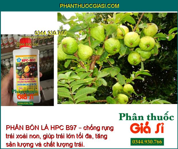 PHÂN BÓN LÁ HPC B97 – Tăng Đậu Quả - Chống Rụng Trái - Trái Lớn Tối Đa