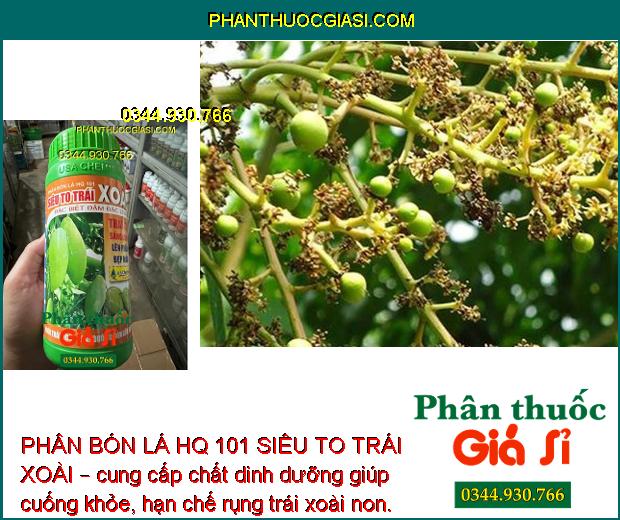 PHÂN BÓN LÁ HQ 101 SIÊU TO TRÁI XOÀI – TRÁI TO SÁNG BÓNG - CHỐNG NỨT TRÁI - THỐI TRÁI