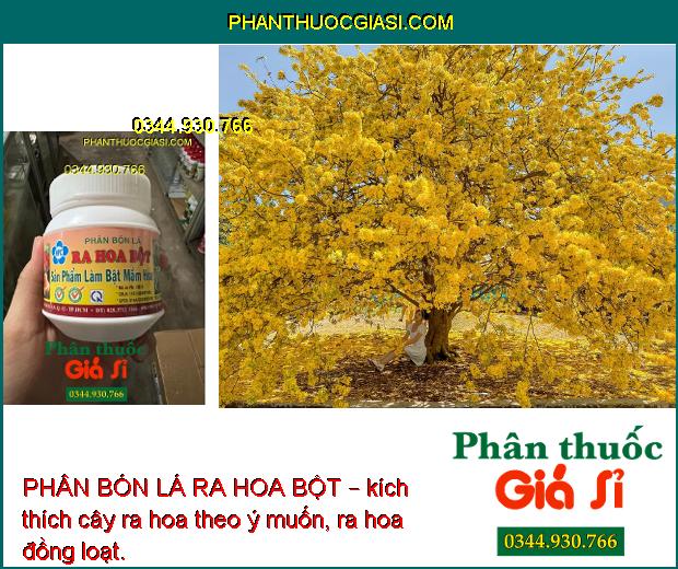 PHÂN BÓN LÁ RA HOA BỘT – Phân Hóa Mầm Hoa - Ra Hoa Đồng Loạt - Tăng Đậu Quả