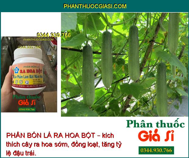 PHÂN BÓN LÁ RA HOA BỘT – Phân Hóa Mầm Hoa - Ra Hoa Đồng Loạt - Tăng Đậu Quả