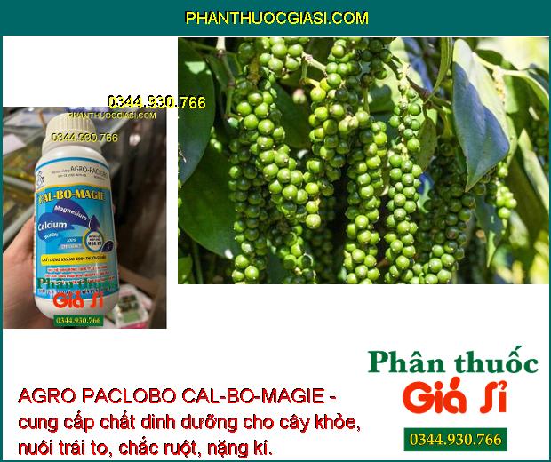 AGRO PACLOBO CAL-BO-MAGIE - Trổ Bông Đồng Loạt - Tăng Thụ Phấn - Hạn Chế Rụng Trái