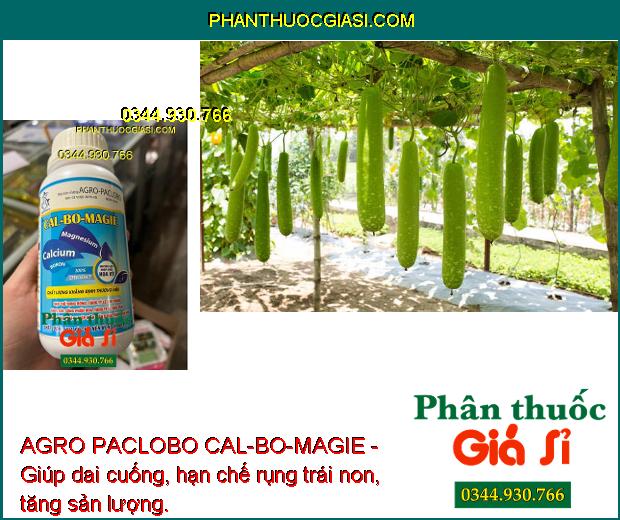 AGRO PACLOBO CAL-BO-MAGIE - Trổ Bông Đồng Loạt - Tăng Thụ Phấn - Hạn Chế Rụng Trái