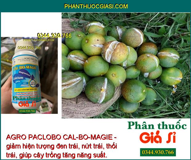 AGRO PACLOBO CAL-BO-MAGIE - Trổ Bông Đồng Loạt - Tăng Thụ Phấn - Hạn Chế Rụng Trái