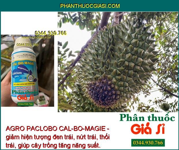 AGRO PACLOBO CAL-BO-MAGIE - Trổ Bông Đồng Loạt - Tăng Thụ Phấn - Hạn Chế Rụng Trái