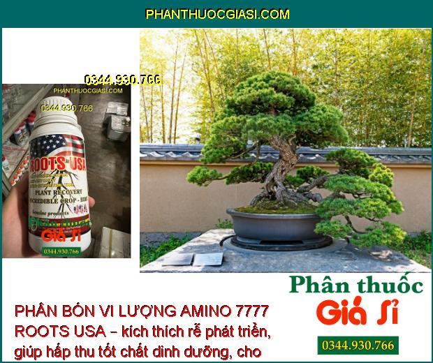 PHÂN BÓN VI LƯỢNG AMINO 7777 ROOTS USA – Cải Tạo Bộ Rễ - Tái Tạo Rễ - Dưỡng Rễ