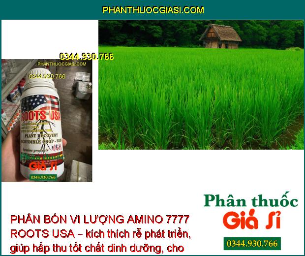 PHÂN BÓN VI LƯỢNG AMINO 7777 ROOTS USA – Cải Tạo Bộ Rễ - Tái Tạo Rễ - Dưỡng Rễ