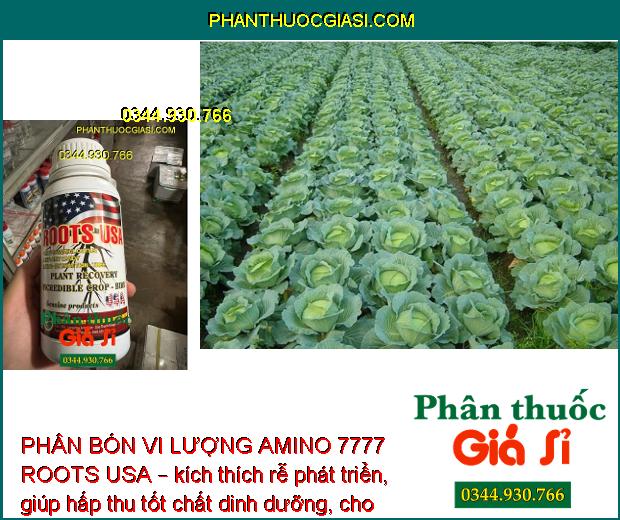 PHÂN BÓN VI LƯỢNG AMINO 7777 ROOTS USA – Cải Tạo Bộ Rễ - Tái Tạo Rễ - Dưỡng Rễ