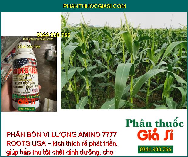 PHÂN BÓN VI LƯỢNG AMINO 7777 ROOTS USA – Cải Tạo Bộ Rễ - Tái Tạo Rễ - Dưỡng Rễ