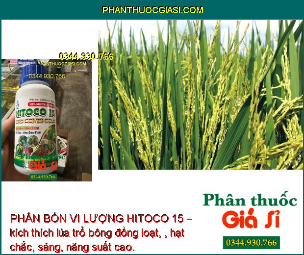 PHÂN BÓN VI LƯỢNG HITOCO 15 – Ra Hoa Đồng Loạt - Hạn Chế Rụng Bông - Rụng Trái Non