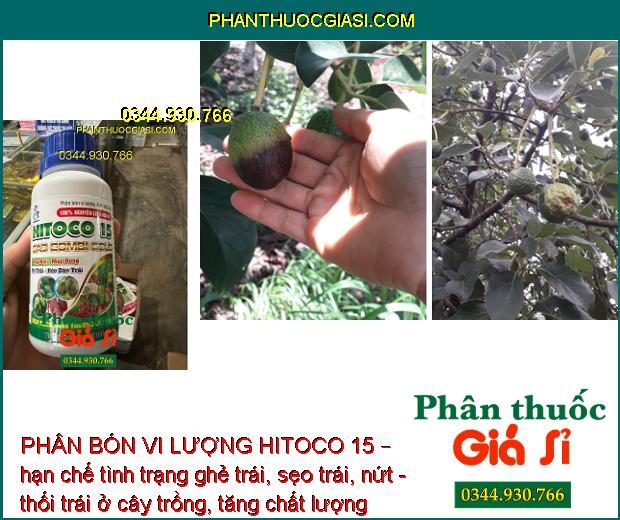 PHÂN BÓN VI LƯỢNG HITOCO 15 – Ra Hoa Đồng Loạt - Hạn Chế Rụng Bông - Rụng Trái Non