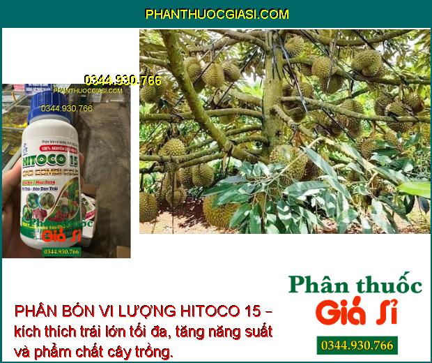 PHÂN BÓN VI LƯỢNG HITOCO 15 – Ra Hoa Đồng Loạt - Hạn Chế Rụng Bông - Rụng Trái Non