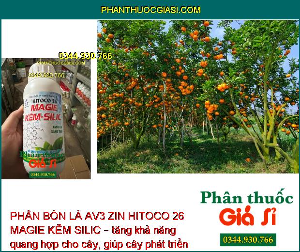 PHÂN BÓN LÁ AV3 ZIN HITOCO 26 MAGIE KẼM SILIC – Tăng Đề Kháng - Xanh LÁ - Sáng Trái