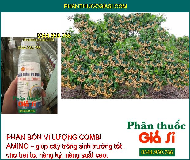 PHÂN BÓN VI LƯỢNG COMBI AMINO – Lá Xanh Dày - Mập Chồi Thân To - Trái To Nặng Ký