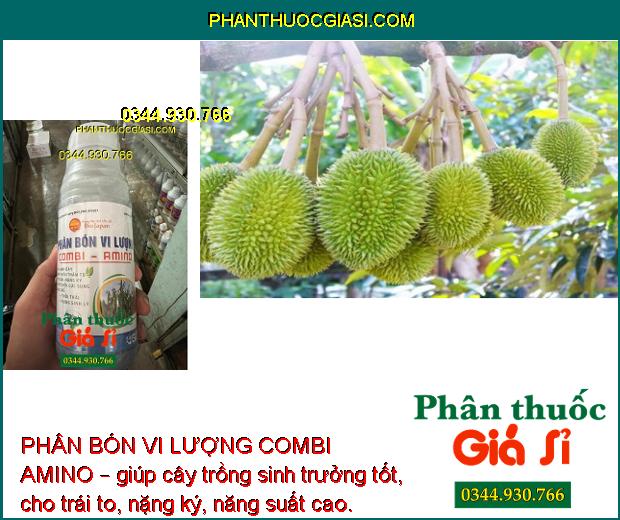 PHÂN BÓN VI LƯỢNG COMBI AMINO – Lá Xanh Dày - Mập Chồi Thân To - Trái To Nặng Ký