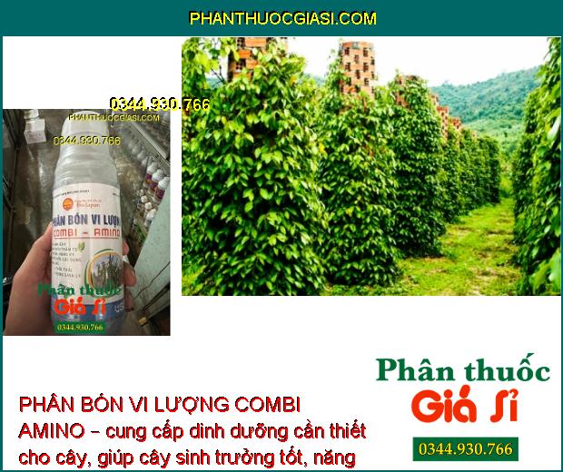 PHÂN BÓN VI LƯỢNG COMBI AMINO – Lá Xanh Dày - Mập Chồi Thân To - Trái To Nặng Ký