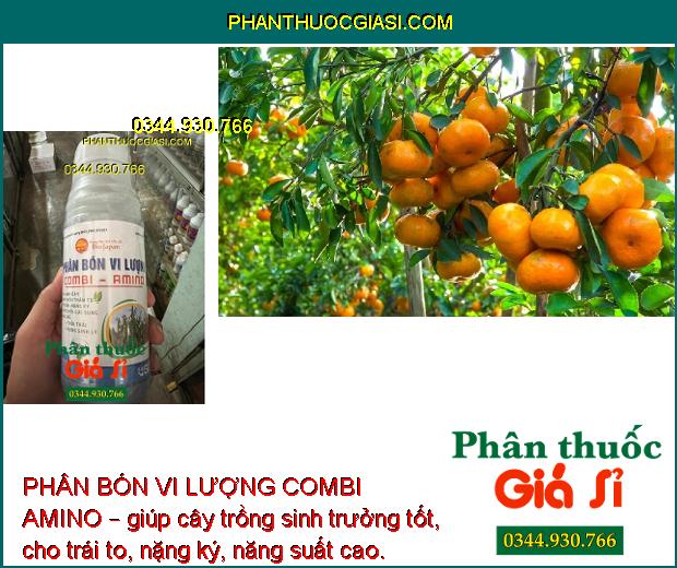 PHÂN BÓN VI LƯỢNG COMBI AMINO – Lá Xanh Dày - Mập Chồi Thân To - Trái To Nặng Ký