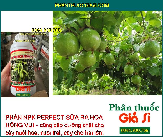 PHÂN NPK PERFECT SỮA RA HOA NÔNG VUI – Hoa Ra Đồng Loạt - Mập Khỏe - Tăng Đậu Trái